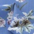Плательная ткань "Фламенко" 12.1, 80 гр/м2, шир.150 см, принт растительный - купить в Ростове-на-Дону. Цена 241.49 руб.