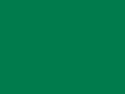 70 см № 258 св. зеленый молнии спираль - купить в Ростове-на-Дону. Цена: 14.58 руб.