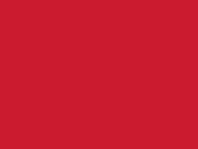 Сетка подкладочная красный, 60г/м2 (10 м/кг) - купить в Ростове-на-Дону. Цена 885.73 руб.