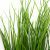 Трава искусственная -4, шт  (осока 50 см/8 см  7 листов)				 - купить в Ростове-на-Дону. Цена: 130.73 руб.